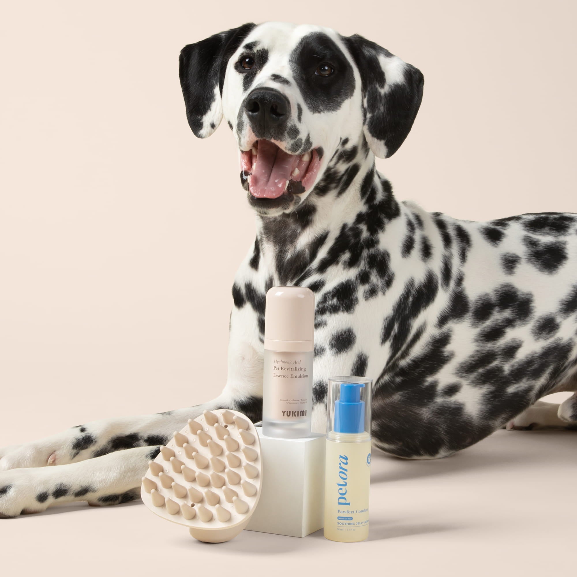 Dalmatian dog with petora soothing jelly serum for paws, yukimi hyaluronic acid for dogs and maxbone coat therapy brush, on beige background