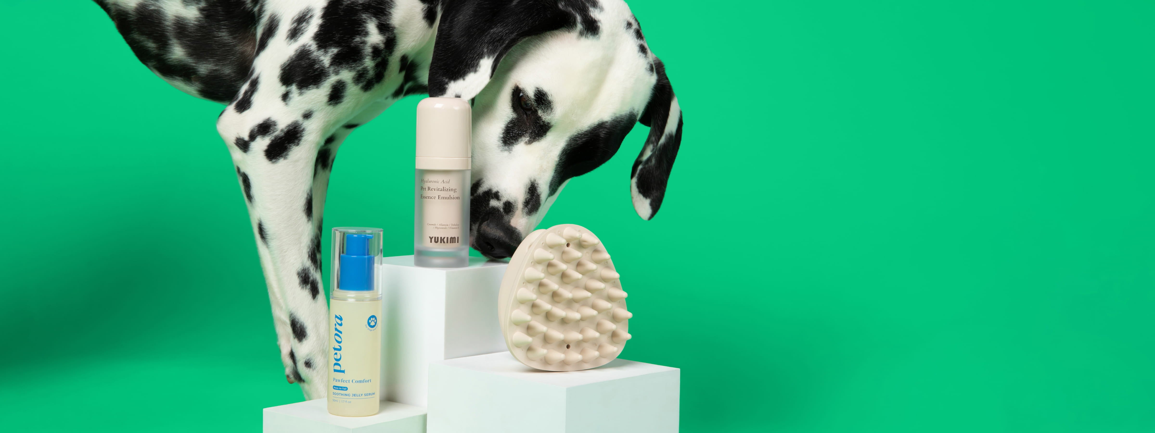 Dalmatian dog with petora soothing jelly serum for paws, yukimi hyaluronic acid for dogs and maxbone coat therapy brush, on fresh green background