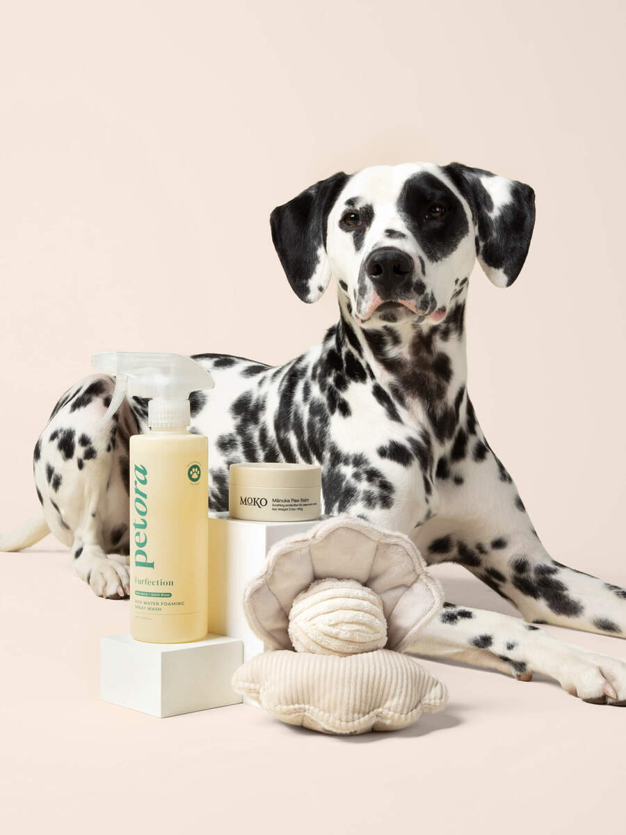 Dalmatian with Petora Rice Water Shampo, Moko Manuka pet paw balm, and Lambwolf Oyster POP toy on a beige background