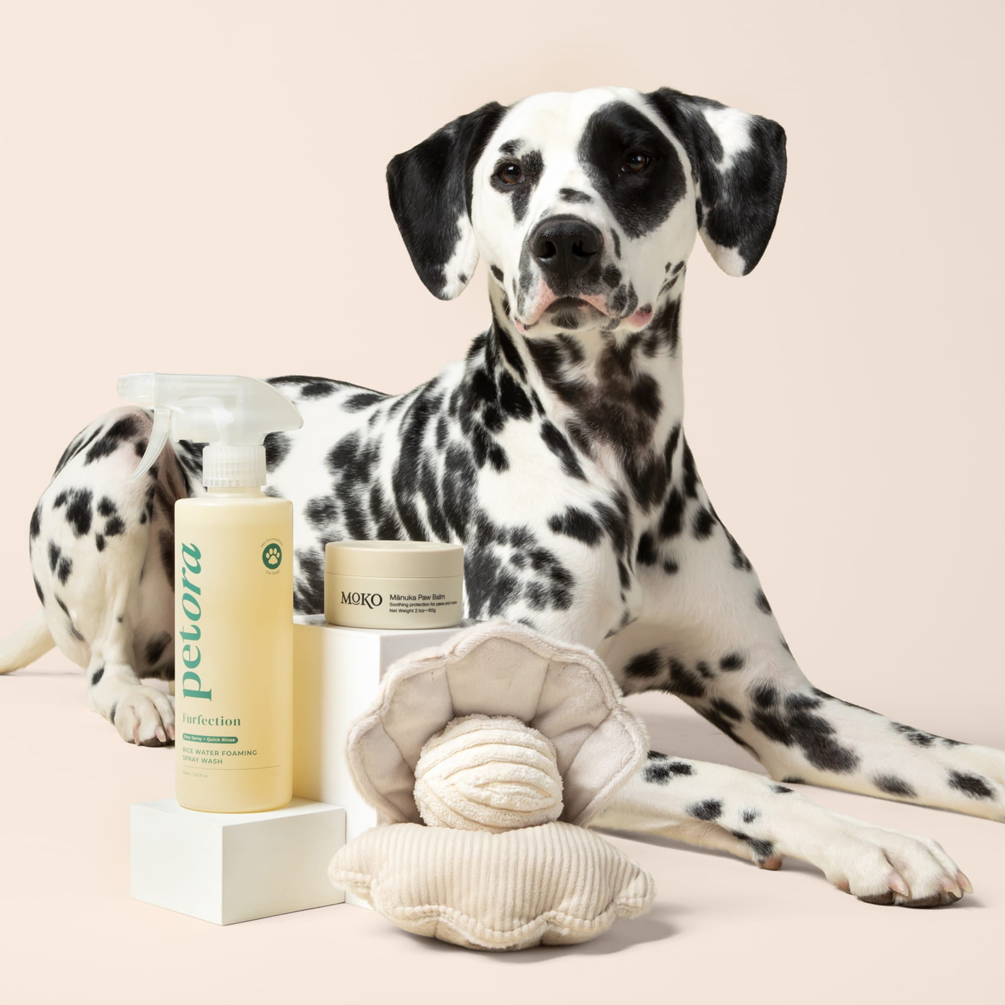 Dalmatian dog with Petora rice water wash, moko manuka paw balm, and enrichment toy on a beige background