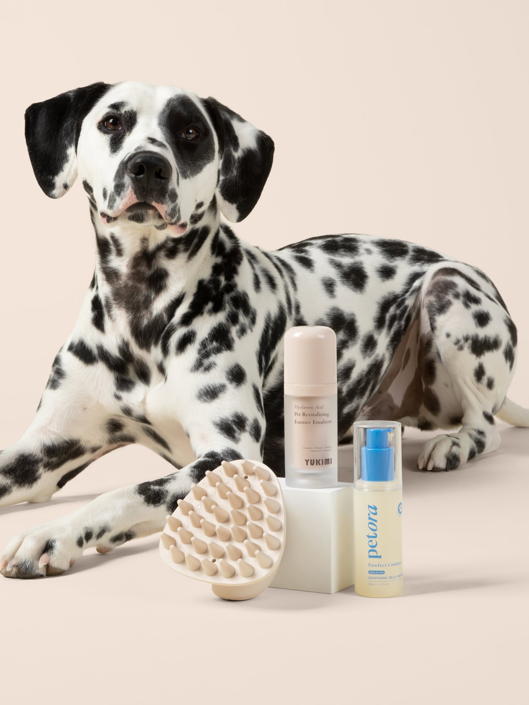 a Dalmatian dog pictured with maxbone coat therapy brush, YUKIMI hyaluronic acid pet revitalizing essence emulsion, petora pawfect comfort soothing jelly serum, all products are part of the Cleo Society Glow Edit. 
