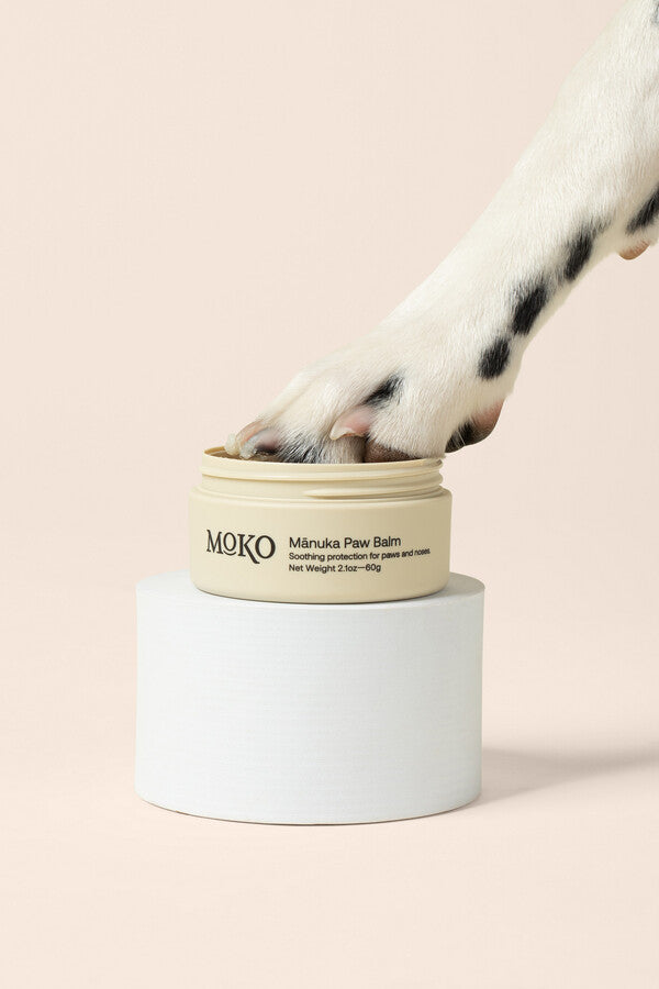 MOKO paw balm with a dog's paw on a beige background