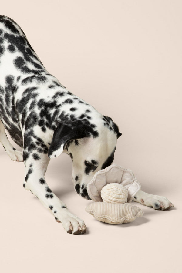 Dalmatian dog playing with the Lambwolf enrichment oyster toy on a beige background

